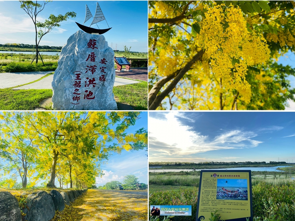 ,台南,安定,蘇林里河堤公園,蘇厝河堤公園,蘇厝,蘇厝滯洪池,台南公園,台南賞花,花季,阿勃勒,阿勃勒花,王船之鄉,黃金雨,