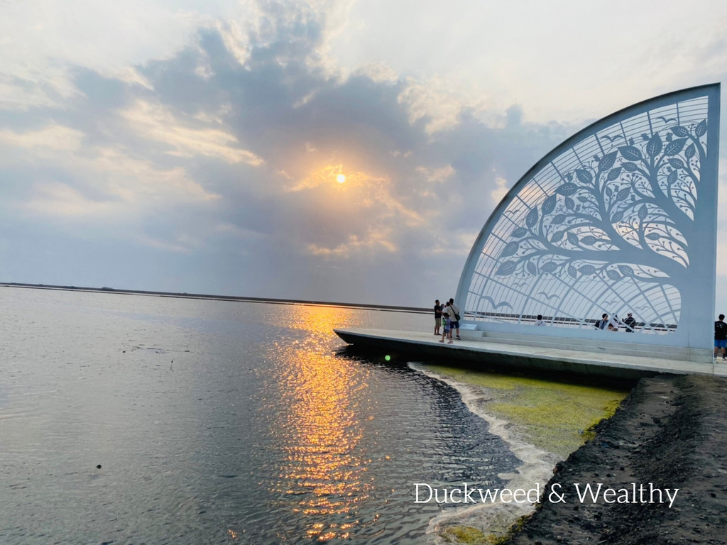 【台南將軍】青鯤鯓網美景點「生命之樹」|海上純白雙面扇形地景