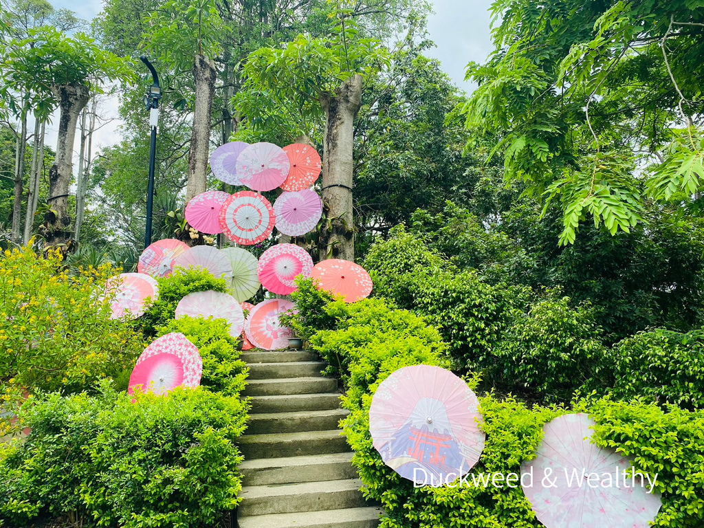 【台南旅遊景點】柳營尖山埤渡假村|日式風幸福洋傘步道|搭船悠