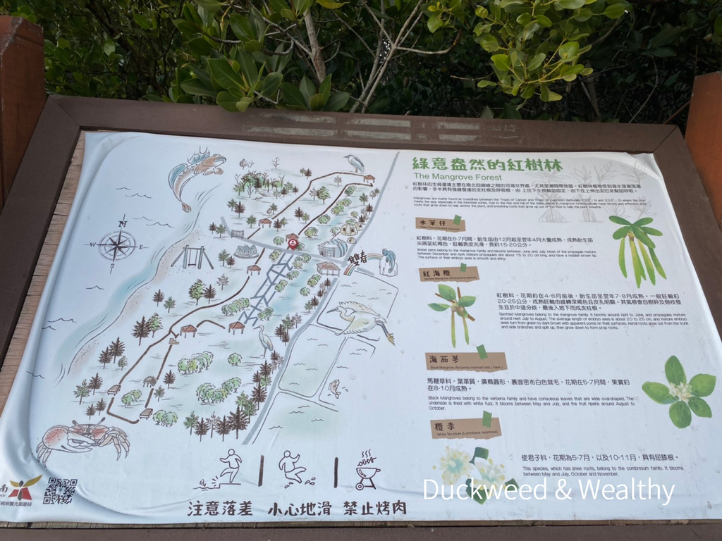 【台南北門景點】「雙春濱海遊憩區」質感景點推薦∣絕美紅樹林木