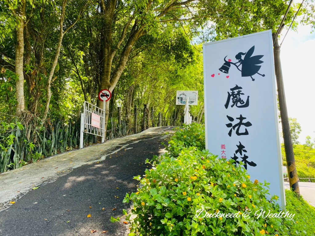 【台南玉井】「魔法森林景觀餐廳」| 坐擁山林間遼闊美景| 浪