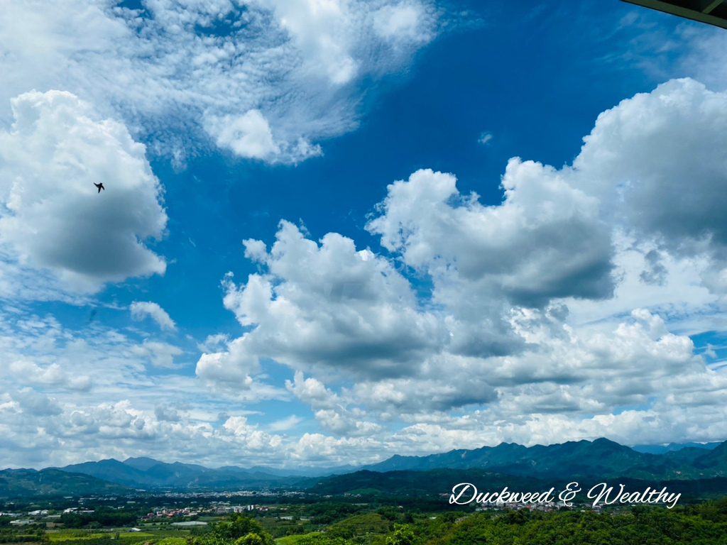 【台南玉井】「魔法森林景觀餐廳」| 坐擁山林間遼闊美景| 浪