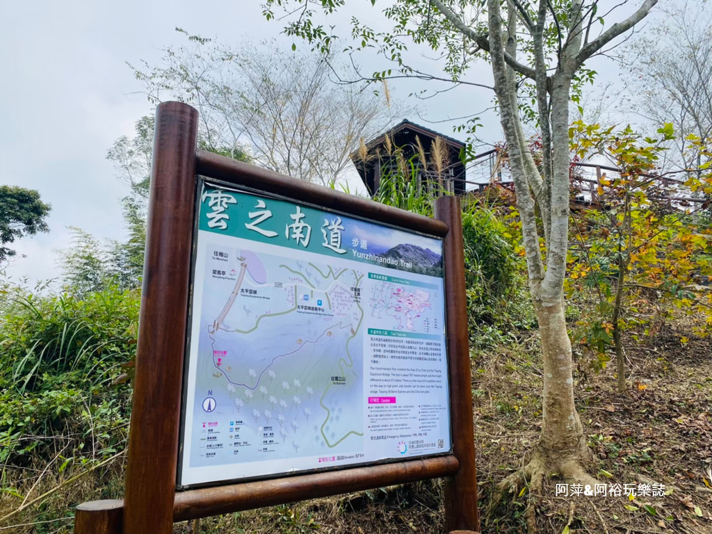 【嘉義梅山景點】「太平雲梯」漫步雲端上的天梯|雲霧中享受一日