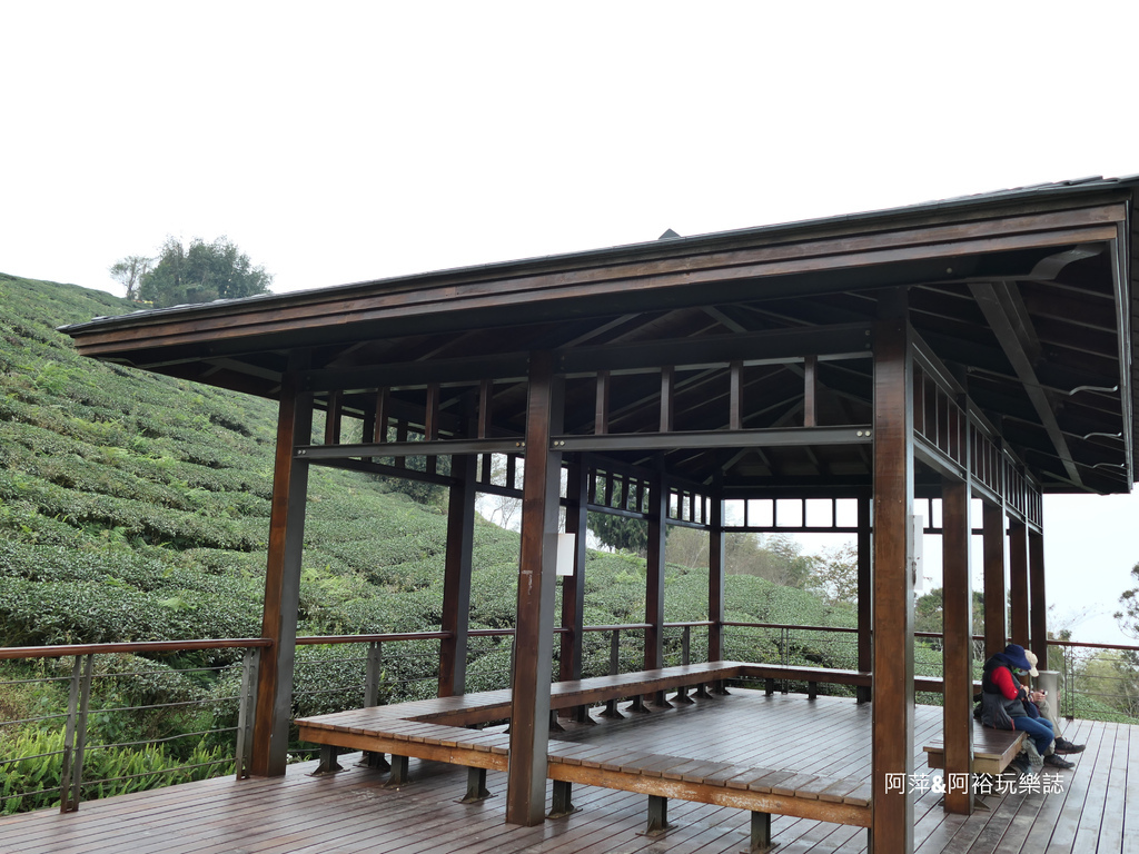 【嘉義梅山景點】「太平雲梯」漫步雲端上的天梯|雲霧中享受一日