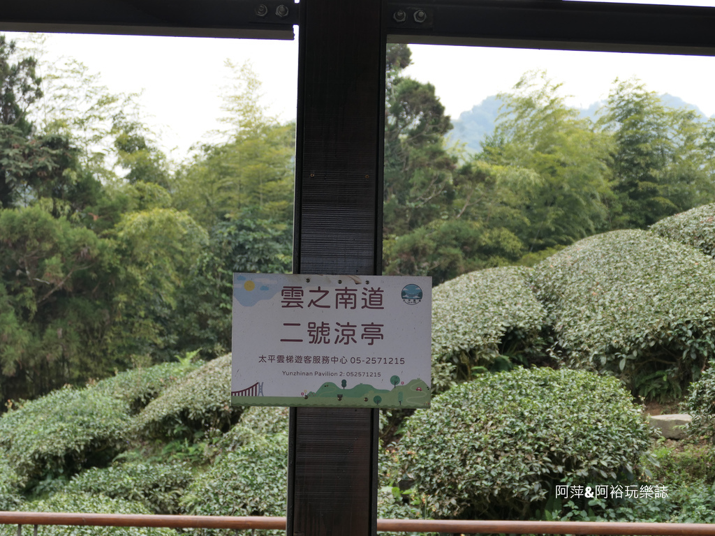 【嘉義梅山景點】「太平雲梯」漫步雲端上的天梯|雲霧中享受一日