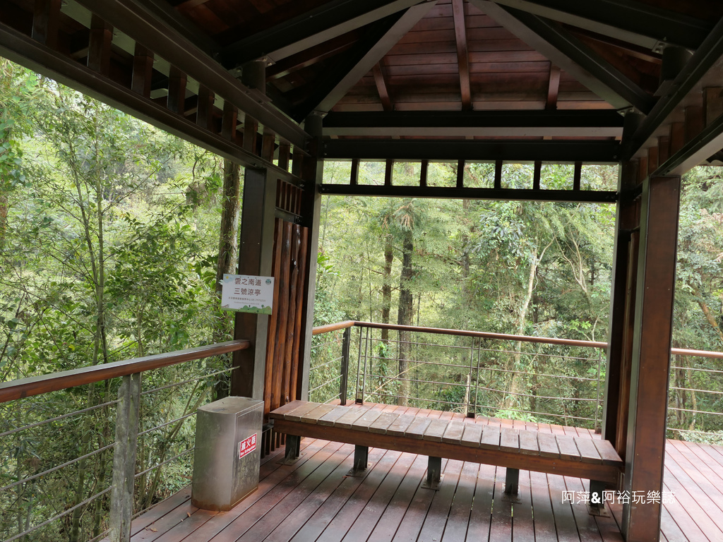 【嘉義梅山景點】「太平雲梯」漫步雲端上的天梯|雲霧中享受一日