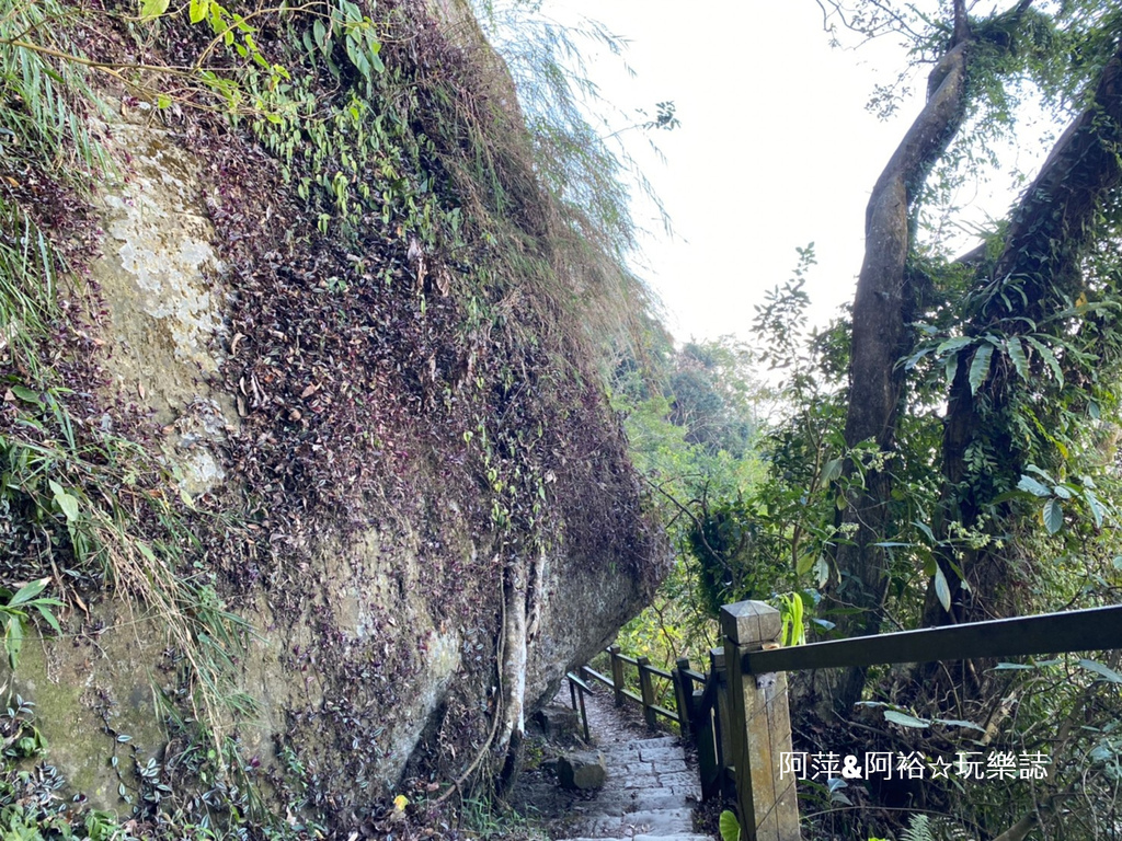 【台南東山】「崁頭山登山步道」推薦.小百岳NO:64∣視野遼