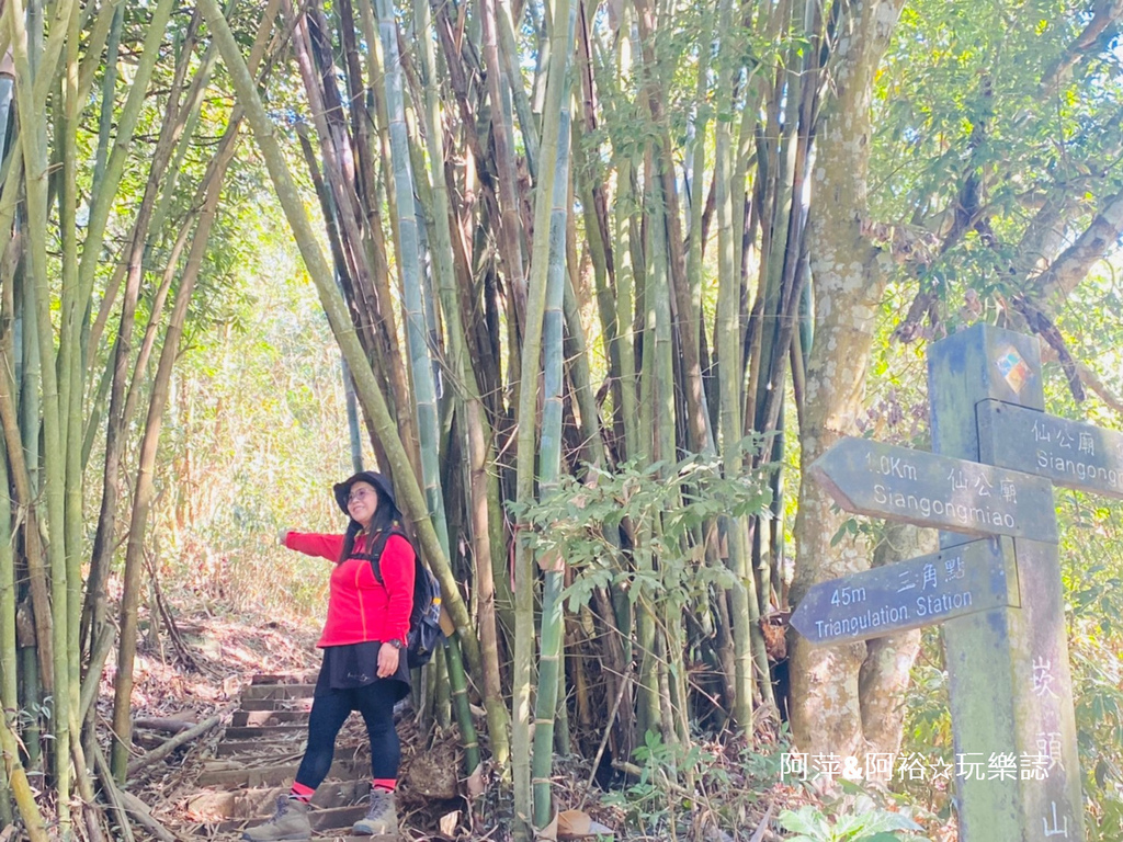 【台南東山】「崁頭山登山步道」推薦.小百岳NO:64∣視野遼