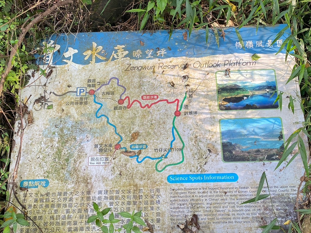 【台南梅嶺景點】「梅嶺風景區」必訪的知名步道群介紹推薦|賞梅