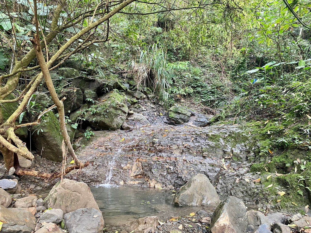 【台南梅嶺景點】「梅嶺風景區」必訪的知名步道群介紹推薦|賞梅