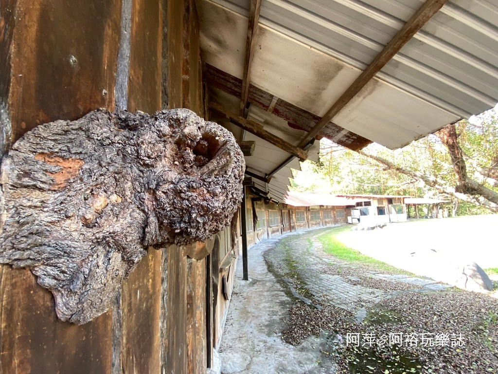 【台南。南化景點】隱藏在山谷裡的世外桃源∣宮崎駿神隱少女中的