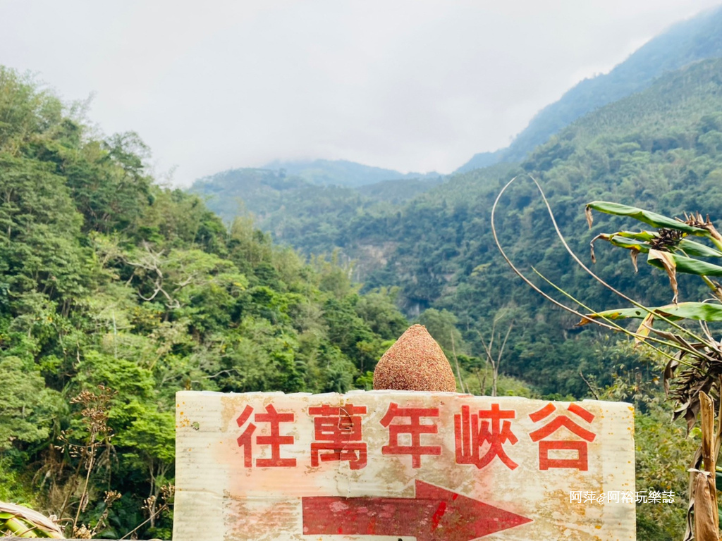 【雲林古坑景點】渾然天成的「萬年峽谷」|鬼斧神工的自然景觀|