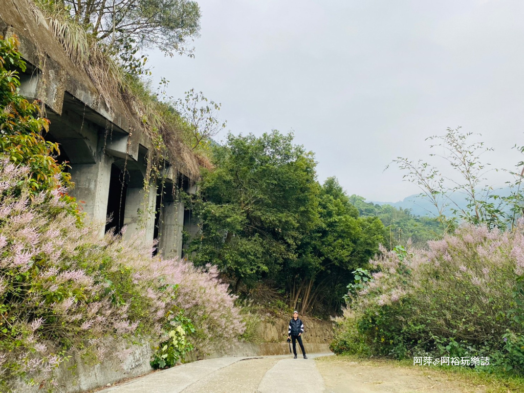 【雲林古坑景點】渾然天成的「萬年峽谷」|鬼斧神工的自然景觀|