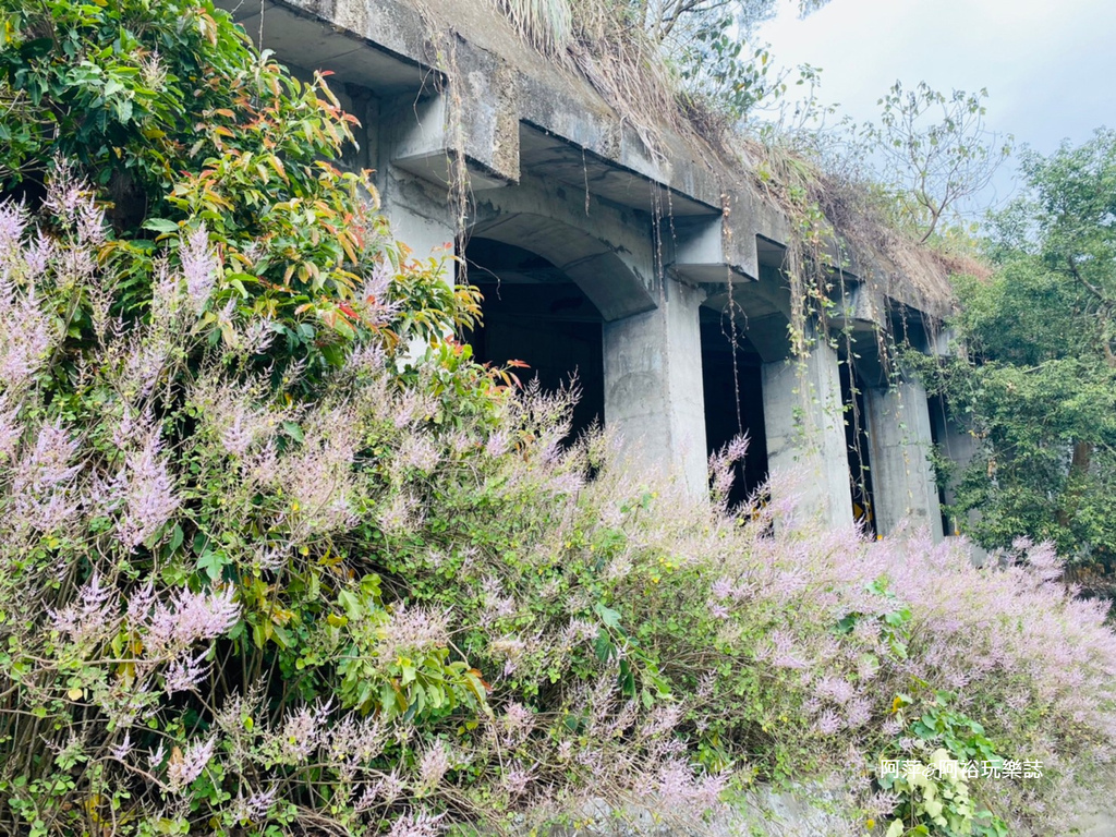 【雲林古坑景點】渾然天成的「萬年峽谷」|鬼斧神工的自然景觀|