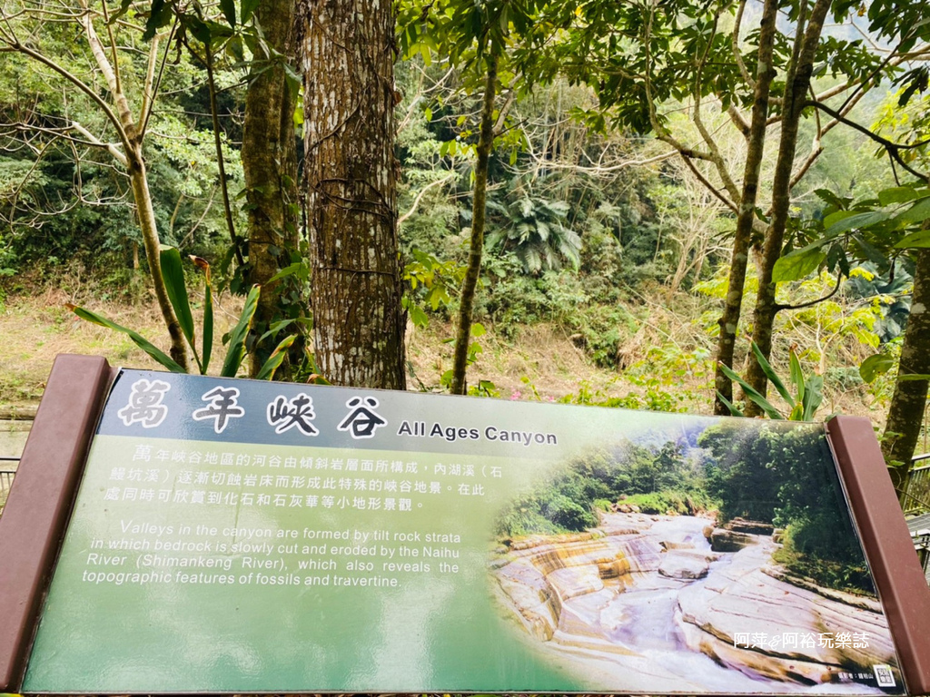 【雲林古坑景點】渾然天成的「萬年峽谷」|鬼斧神工的自然景觀|