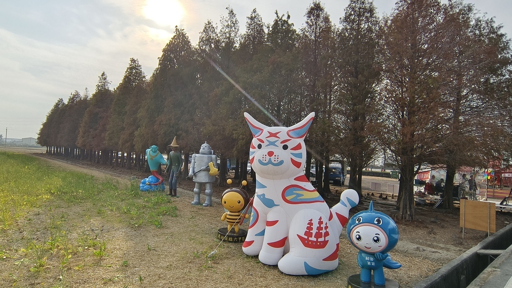 【台南六甲景點】超夢幻六甲落羽松季「悠遊浪漫落羽松」季節限定