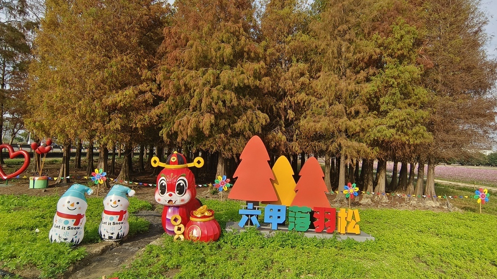 【台南六甲景點】超夢幻六甲落羽松季「悠遊浪漫落羽松」季節限定