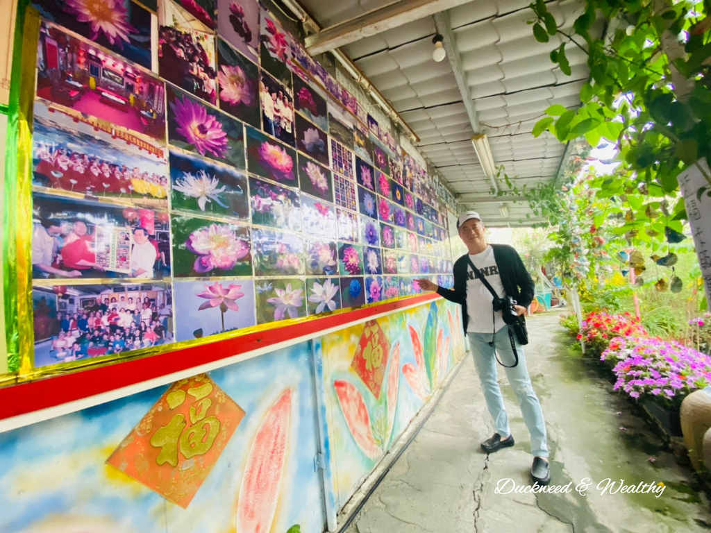 【台南旅遊景點】六甲《九品蓮花生態園區》賞蓮花、品嚐蓮花料理