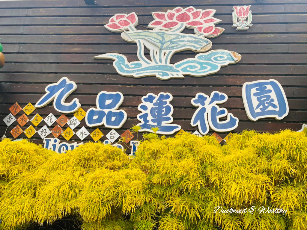 【台南旅遊景點】六甲《九品蓮花生態園區》賞蓮花、品嚐蓮花料理