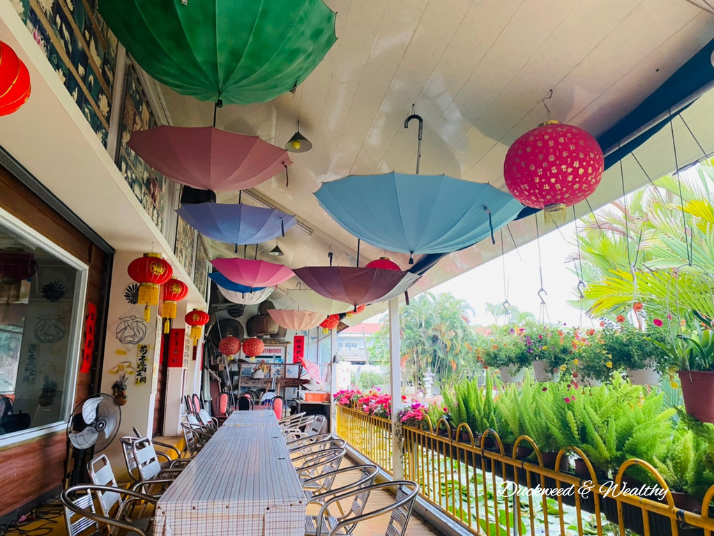 【台南旅遊景點】六甲《九品蓮花生態園區》賞蓮花、品嚐蓮花料理