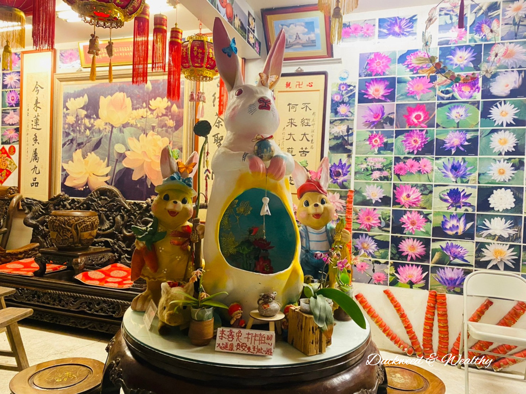 【台南旅遊景點】六甲《九品蓮花生態園區》賞蓮花、品嚐蓮花料理