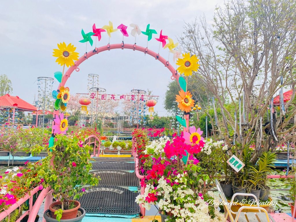 【台南旅遊景點】六甲《九品蓮花生態園區》賞蓮花、品嚐蓮花料理