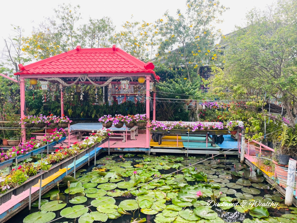 【台南旅遊景點】六甲《九品蓮花生態園區》賞蓮花、品嚐蓮花料理