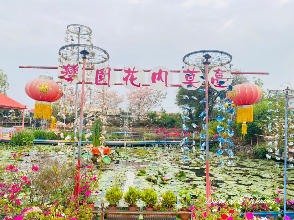 【台南旅遊景點】六甲《九品蓮花生態園區》賞蓮花、品嚐蓮花料理