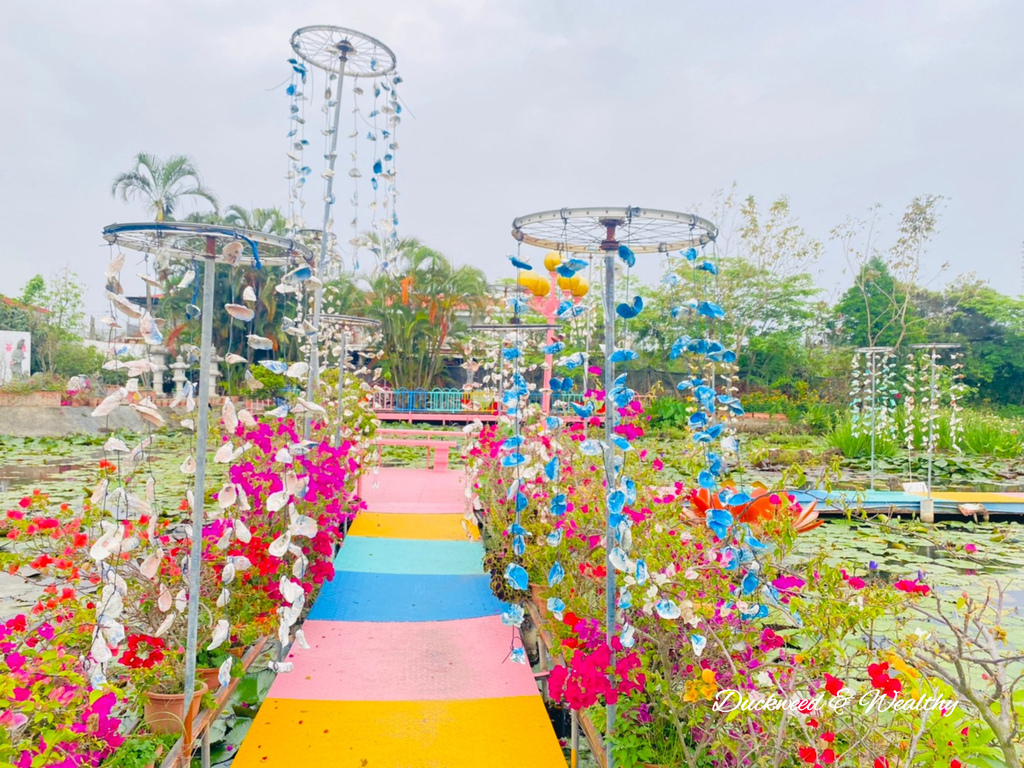 【台南旅遊景點】六甲《九品蓮花生態園區》賞蓮花、品嚐蓮花料理