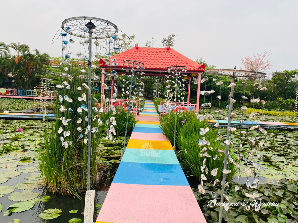 【台南旅遊景點】六甲《九品蓮花生態園區》賞蓮花、品嚐蓮花料理
