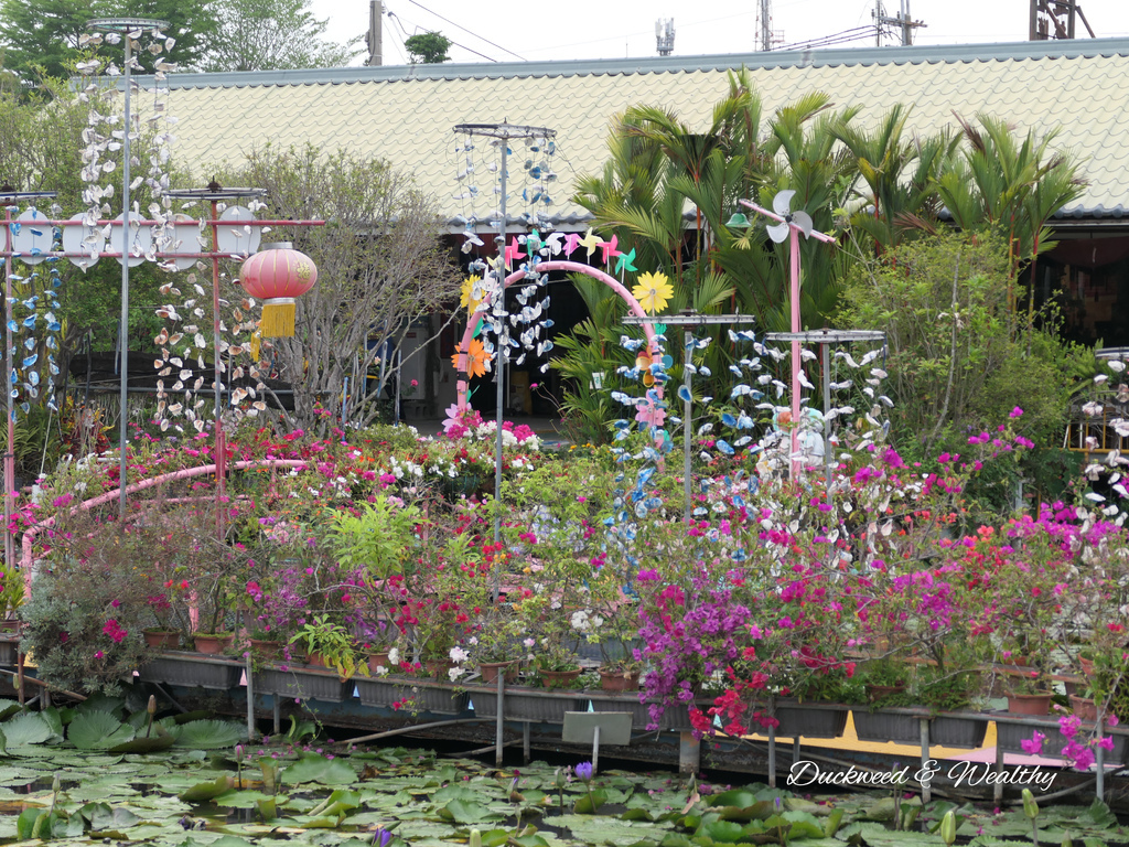 【台南旅遊景點】六甲《九品蓮花生態園區》賞蓮花、品嚐蓮花料理