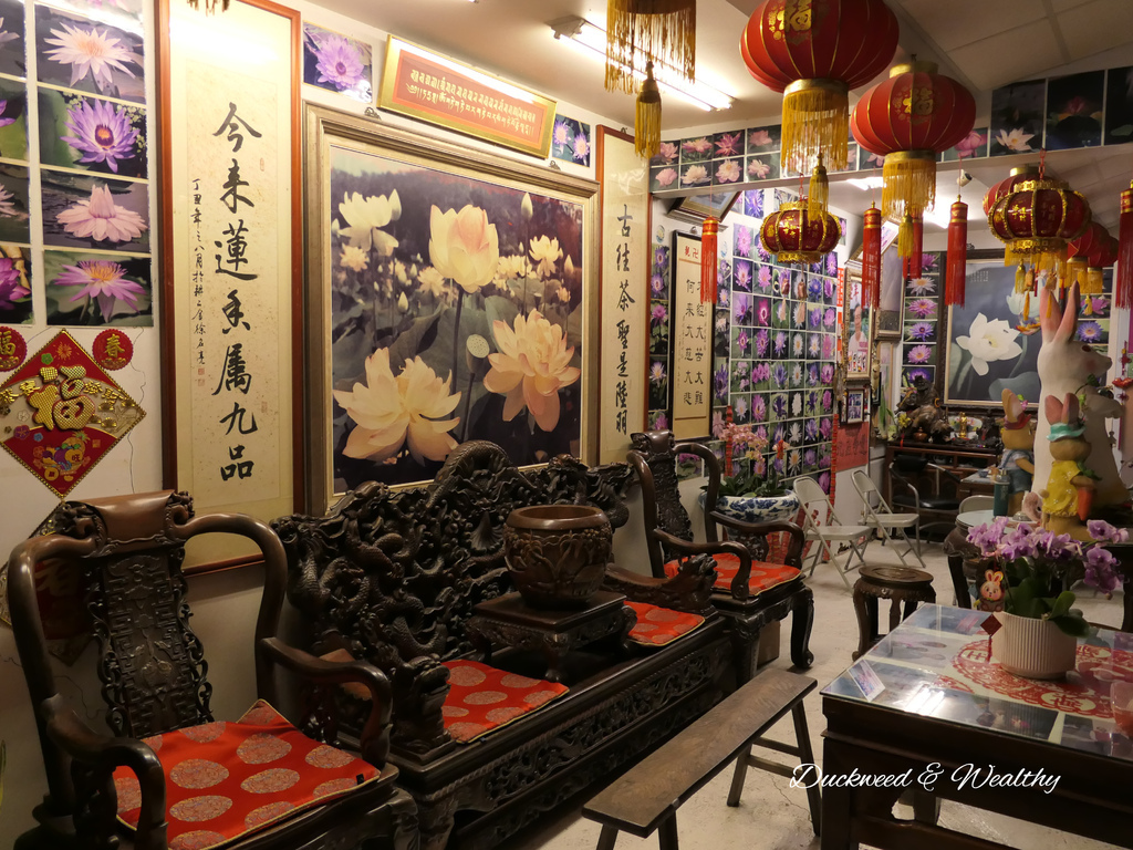 【台南旅遊景點】六甲《九品蓮花生態園區》賞蓮花、品嚐蓮花料理