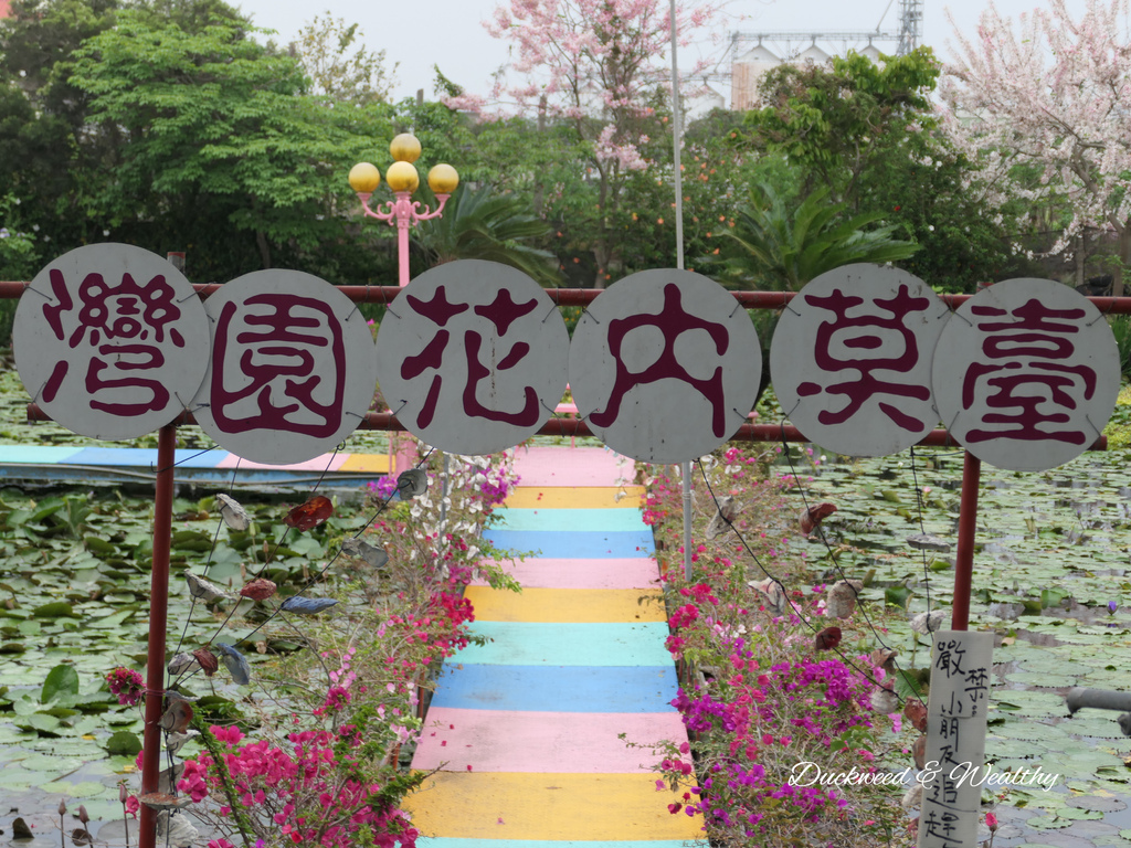 【台南旅遊景點】六甲《九品蓮花生態園區》賞蓮花、品嚐蓮花料理