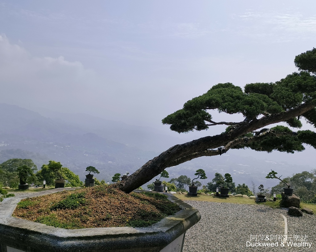 【台南．白河】關仔嶺秘境∣「雨露森林景觀咖啡」∣俯瞰山川秀麗