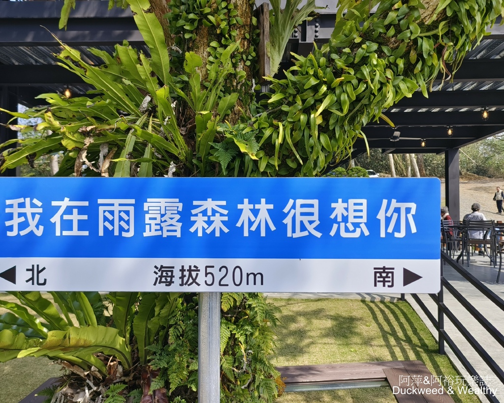 【台南．白河】關仔嶺秘境∣「雨露森林景觀咖啡」∣俯瞰山川秀麗