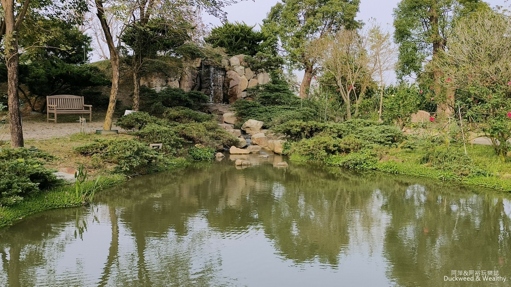 【台南〪後壁】「雅聞湖濱療癒森林」玫瑰花季|超夢幻法式玫瑰花