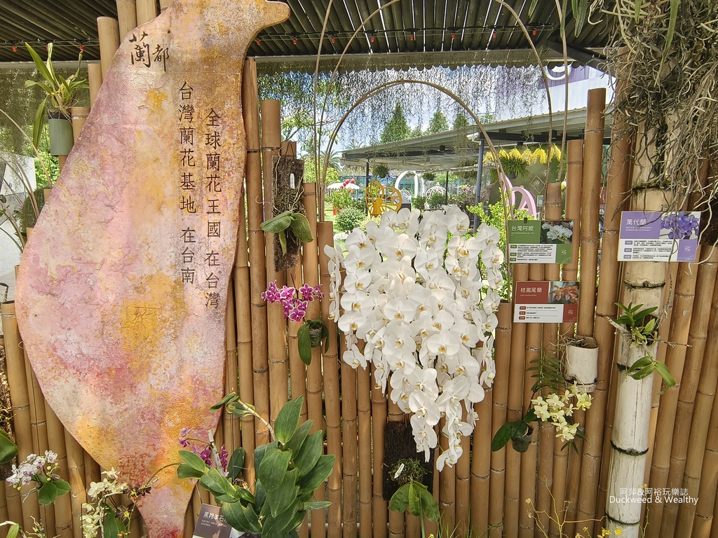 【臺南。六甲】「蘭都觀光工廠」全台唯一蘭花觀光工廠｜免門票遊
