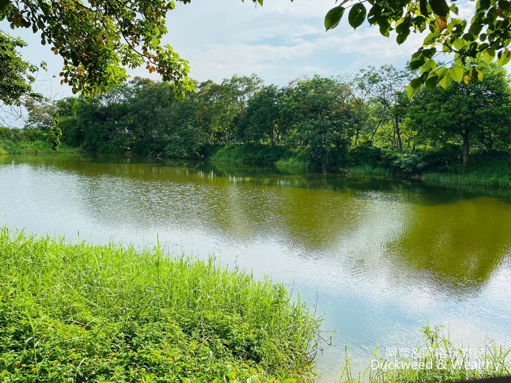 【台南.後壁景點】「小南海自然生態公園」湖光水色的環湖步道∣