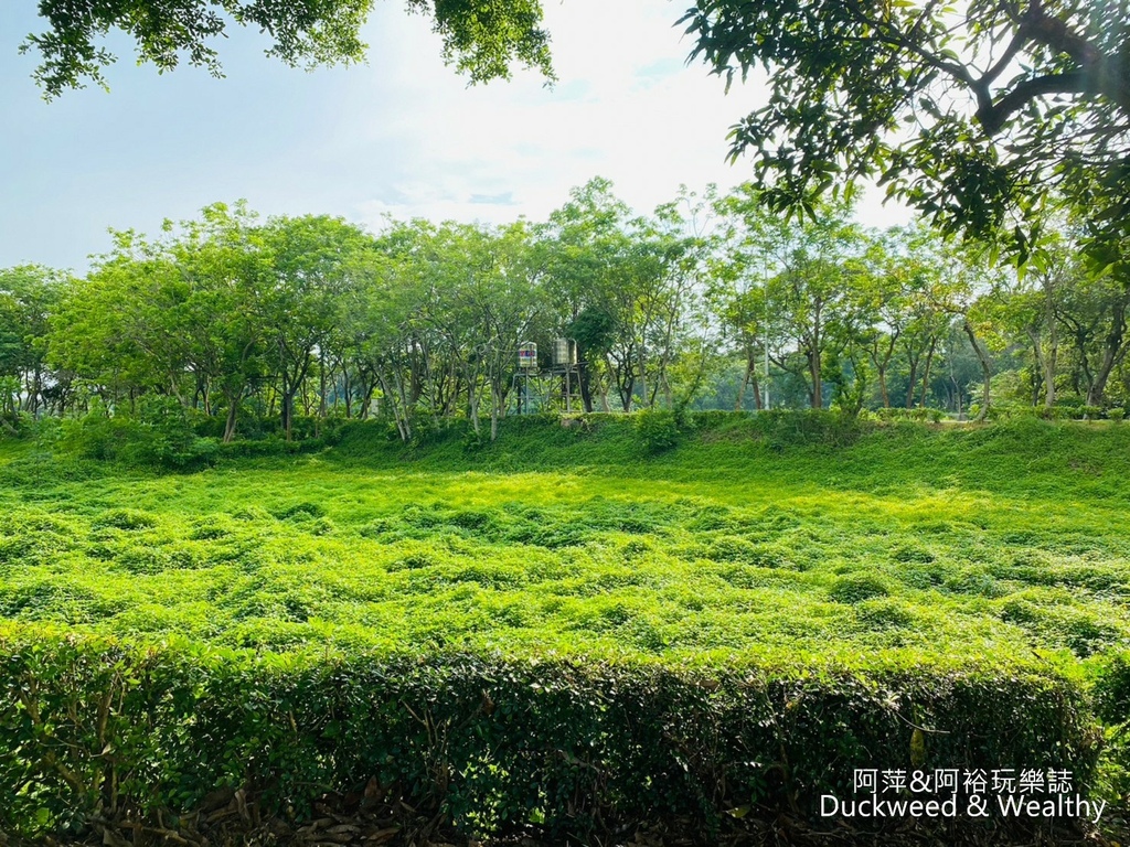 【台南.後壁景點】「小南海自然生態公園」湖光水色的環湖步道∣