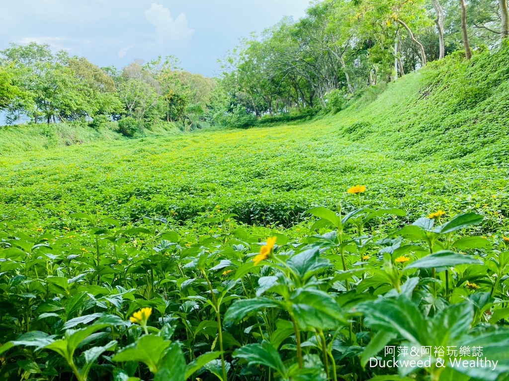 【台南.後壁景點】「小南海自然生態公園」湖光水色的環湖步道∣