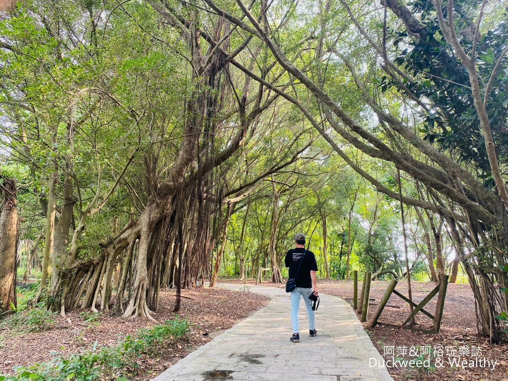 【台南.後壁景點】「小南海自然生態公園」湖光水色的環湖步道∣
