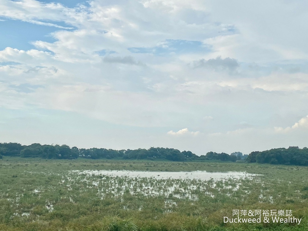 【台南.後壁景點】「小南海自然生態公園」湖光水色的環湖步道∣