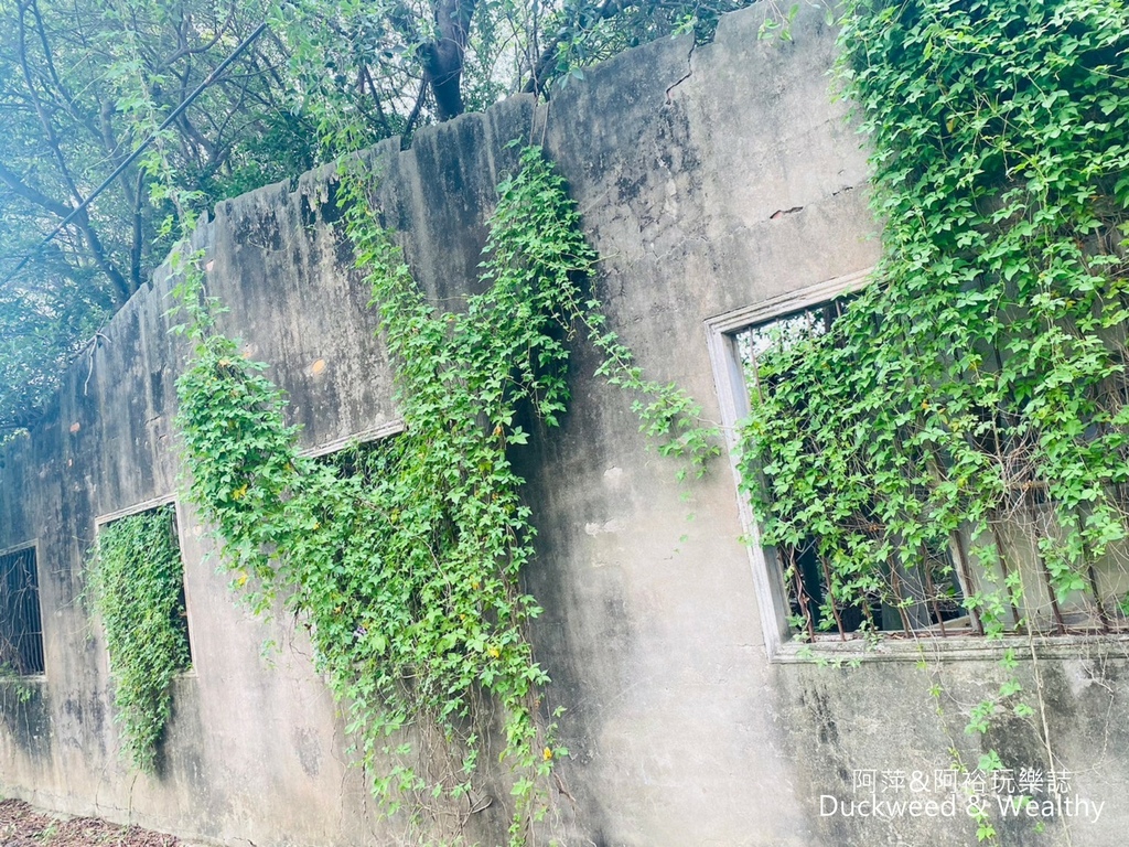 【台南.後壁景點】「小南海自然生態公園」湖光水色的環湖步道∣