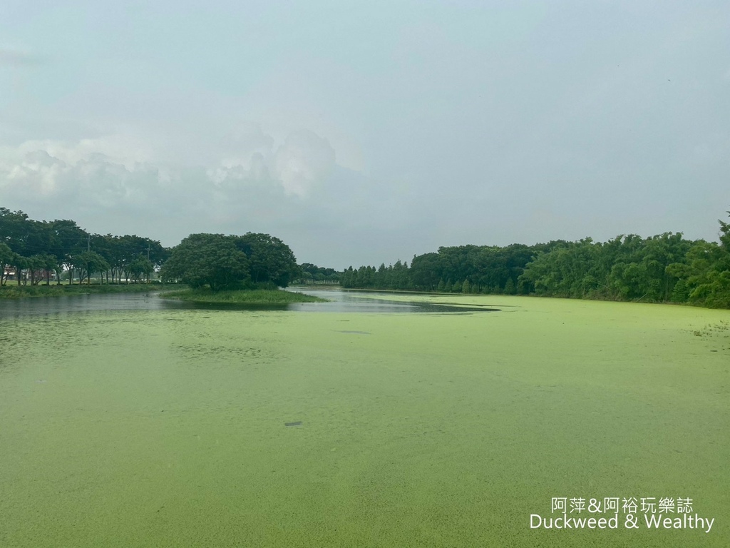 【台南.後壁景點】「小南海自然生態公園」湖光水色的環湖步道∣