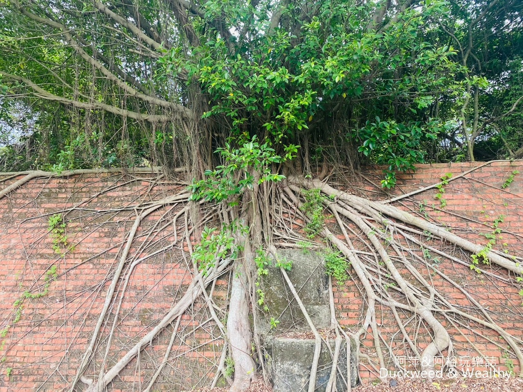 【台南.後壁景點】「小南海自然生態公園」湖光水色的環湖步道∣