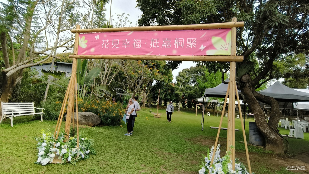【嘉義景點】幸福山丘「花見幸福‧抵嘉桐聚」隆重登場┃IG熱門