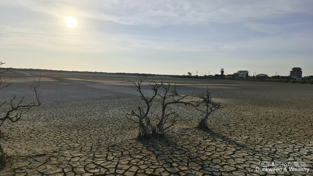 【台南.七股】「頂山賞鳥亭」大自然鹽灘龜裂奇景|彩霞夕照下的