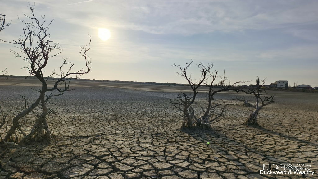 【台南.七股】「頂山賞鳥亭」大自然鹽灘龜裂奇景|彩霞夕照下的