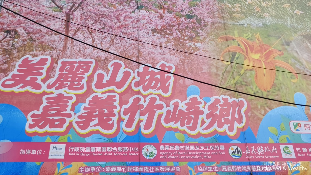 【嘉義.竹崎】《阿拉伯粉紅村》賞花景點∣金針花x花旗木夢幻同 【嘉義.竹崎】《阿拉伯粉紅村》賞花景點∣金針花x花旗木夢幻同