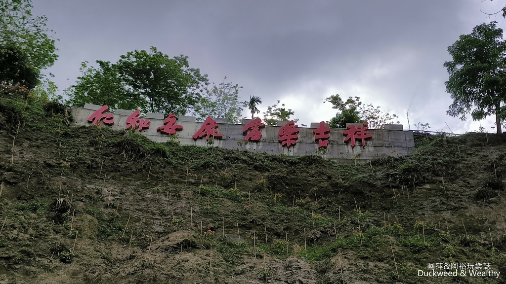 【嘉義.竹崎】《阿拉伯粉紅村》賞花景點∣金針花x花旗木夢幻同